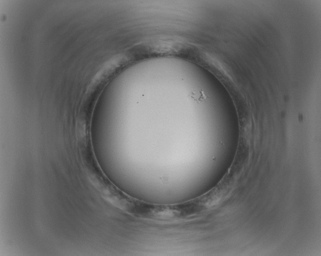 X0000067950407200604272104