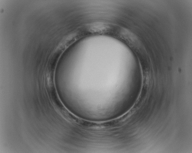 X0000067950408200604272104