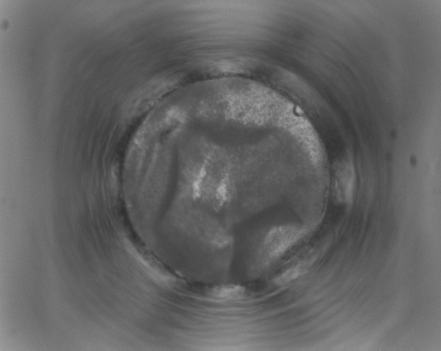 X0000067950410200604272104