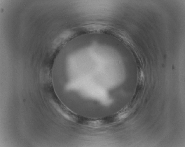 X0000067950411200604272104