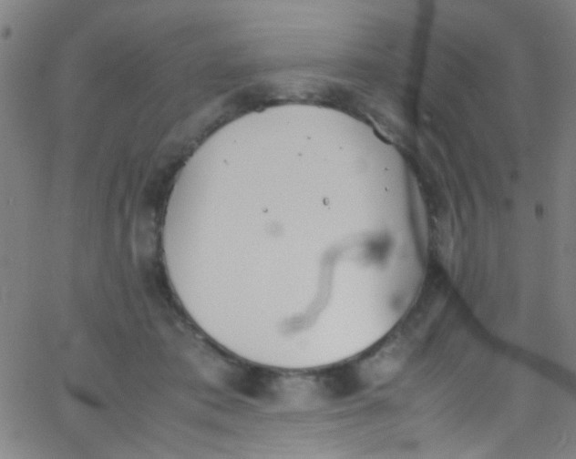 X0000067950413200604272104