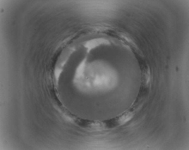 X0000067950415200604272104