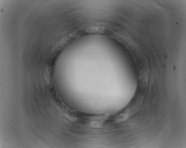 X0000067950416200604272104