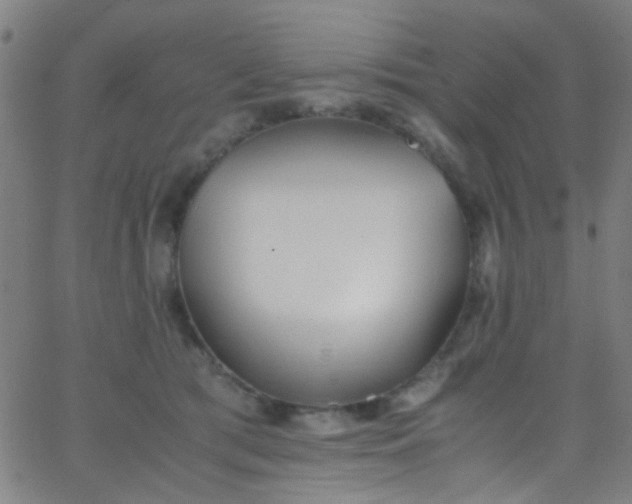 X0000067950417200604272104