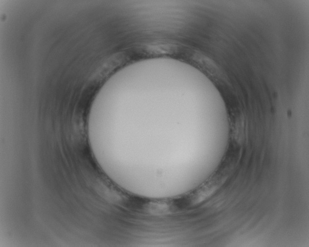 X0000067950418200604272104