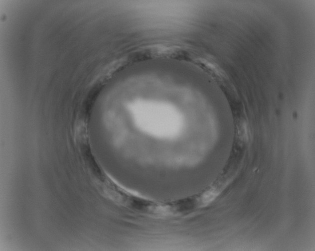 X0000067950419200604272104