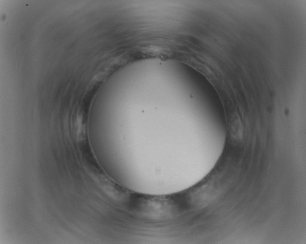 X0000067950420200604272104