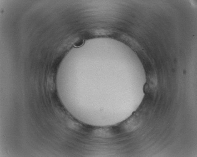 X0000067950422200604272104