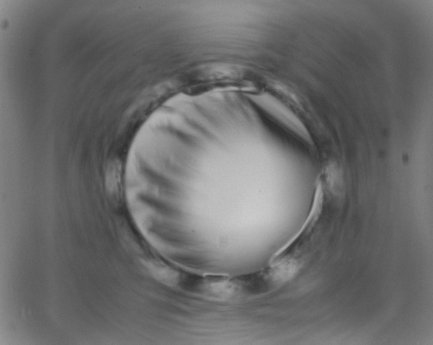 X0000067950423200604272104