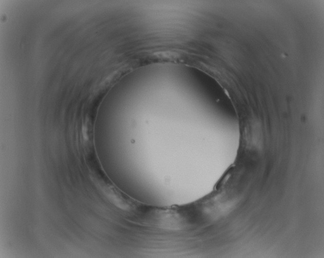 X0000067950424200604272104