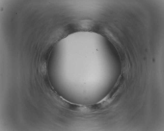 X0000067950425200604272104