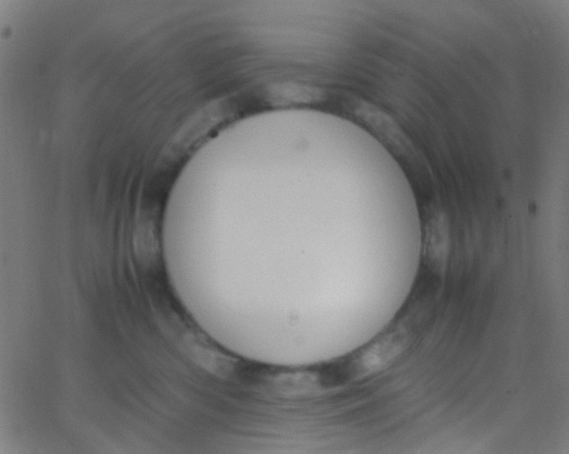 X0000067950426200604272104