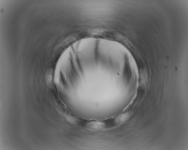 X0000067950427200604272104