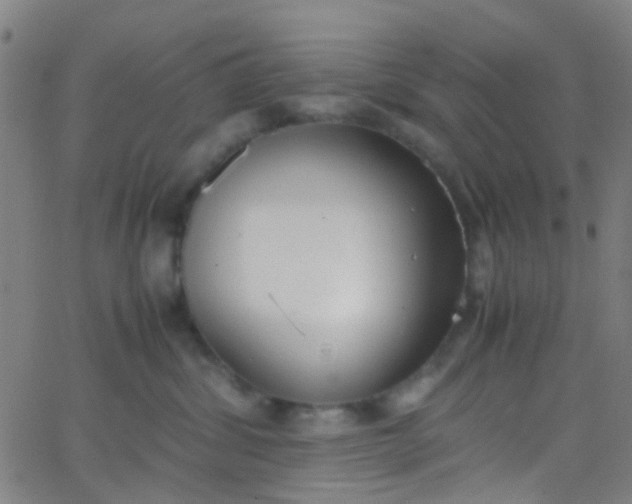 X0000067950428200604272104