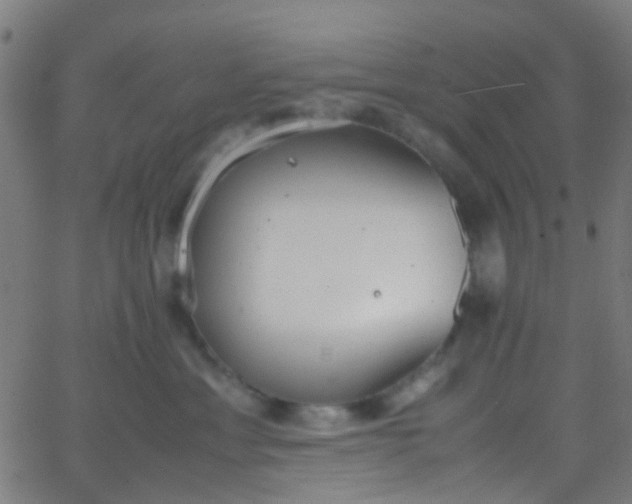 X0000067950429200604272104