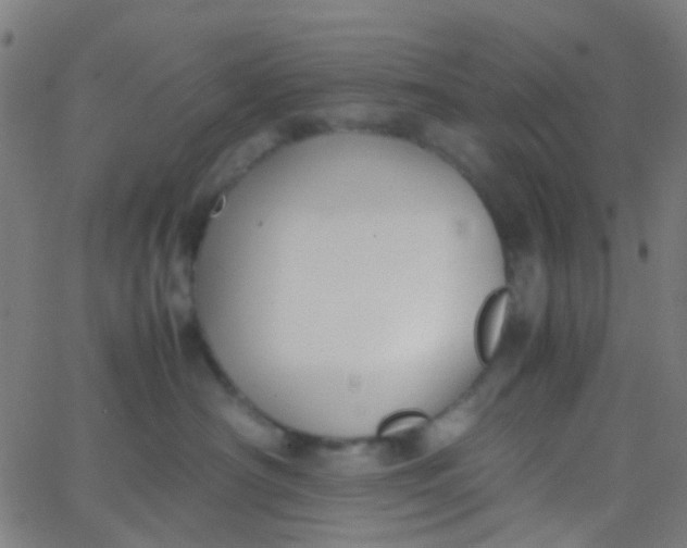 X0000067950430200604272104