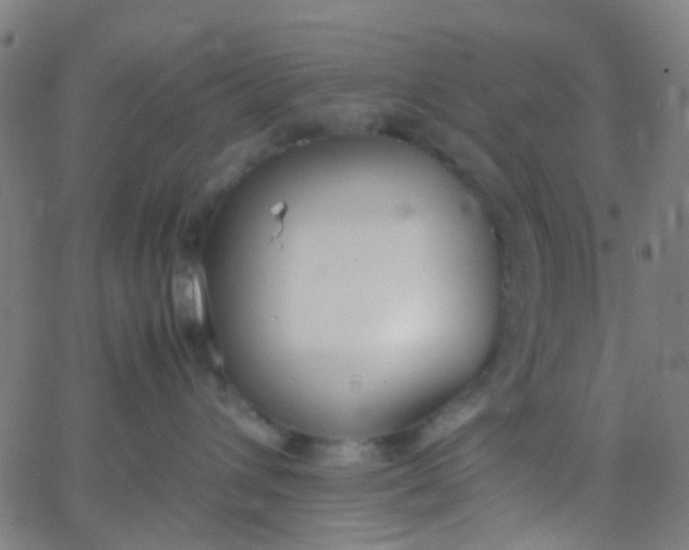 X0000067950432200604272104