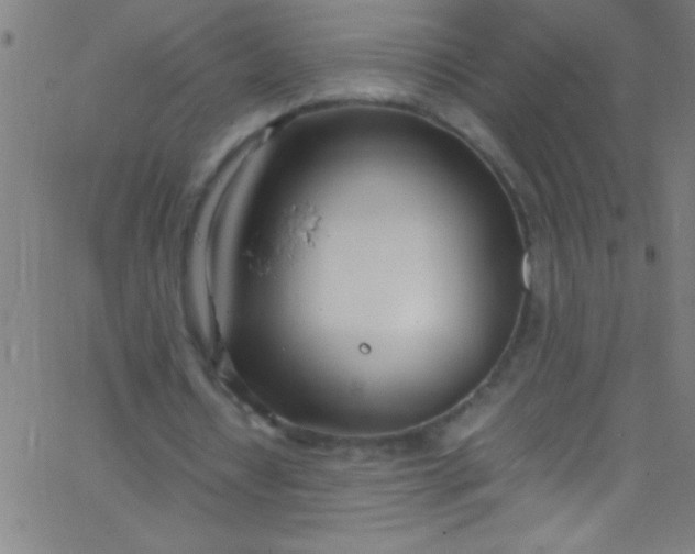 X0000067950434200604272103