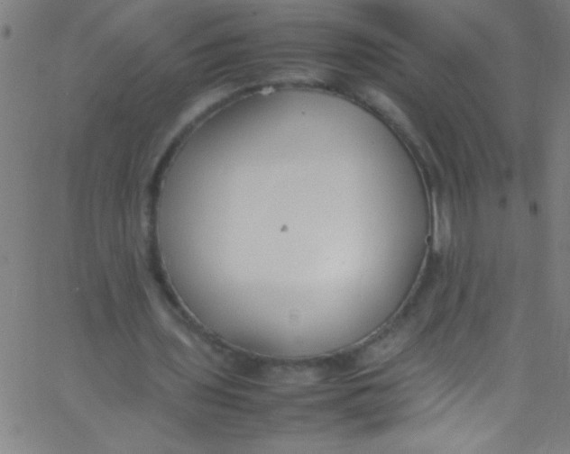 X0000067950435200604272103