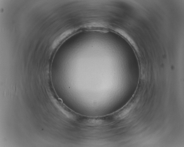 X0000067950437200604272103