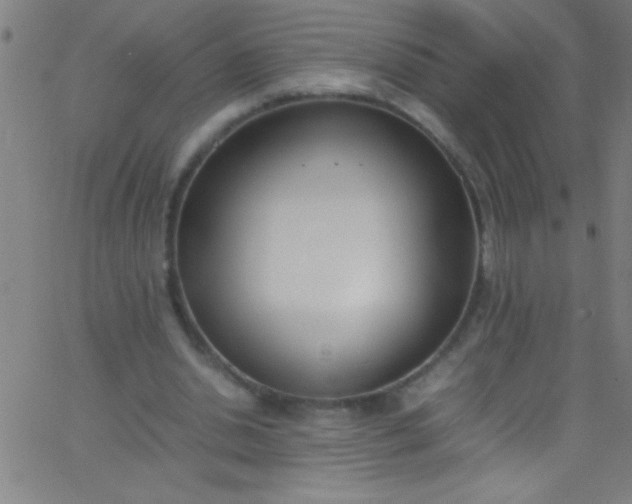 X0000067950438200604272103