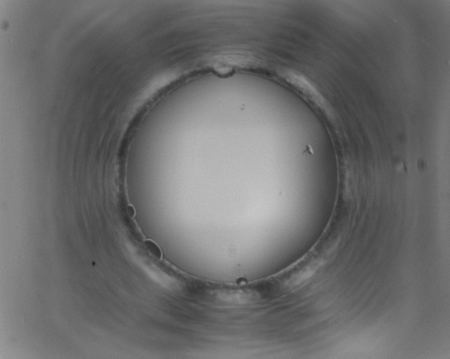 X0000067950439200604272103