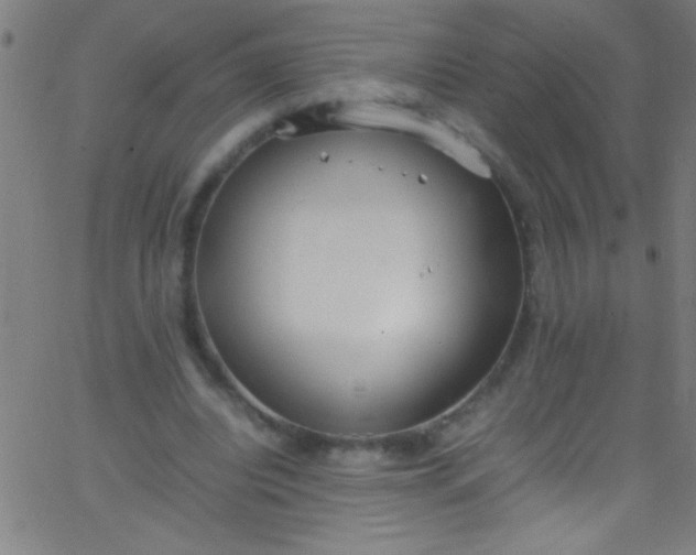 X0000067950440200604272103