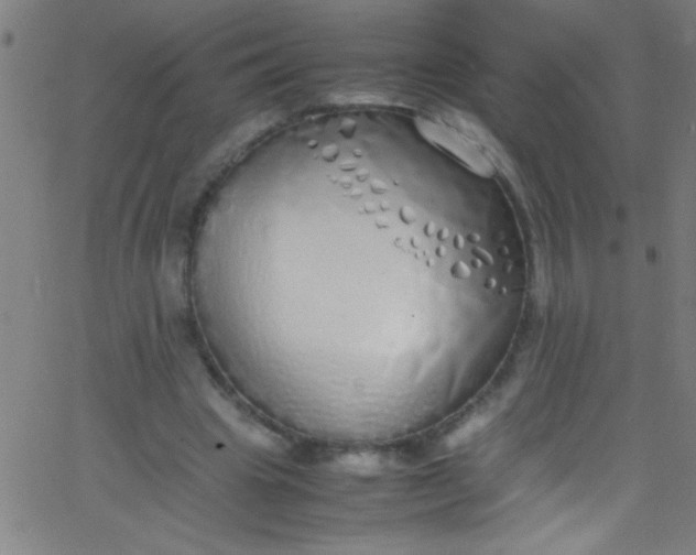 X0000067950441200604272103