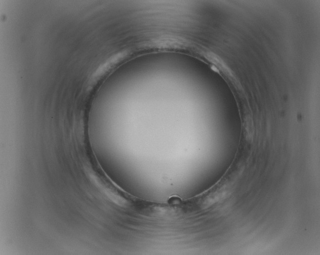 X0000067950442200604272103