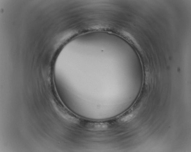 X0000067950443200604272103