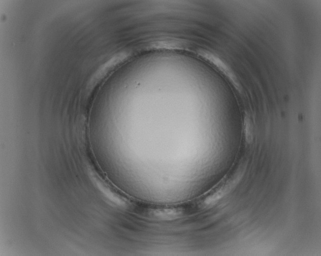 X0000067950445200604272103