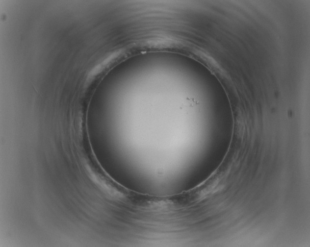 X0000067950446200604272103