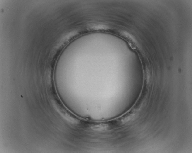 X0000067950447200604272103