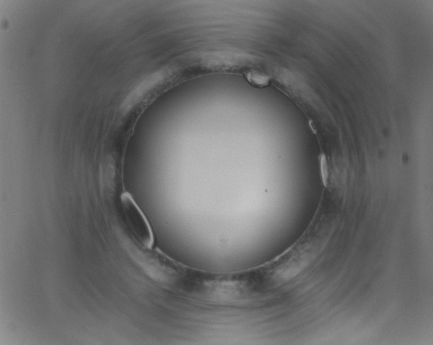 X0000067950448200604272103