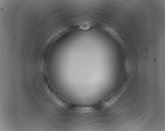 X0000067950449200604272103