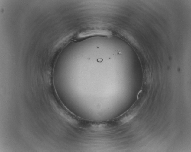 X0000067950450200604272103