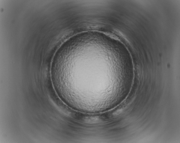 X0000067950451200604272103