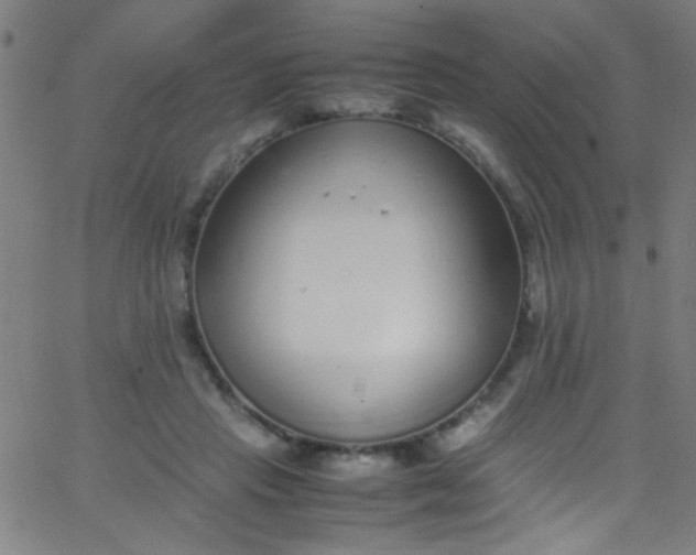 X0000067950453200604272103