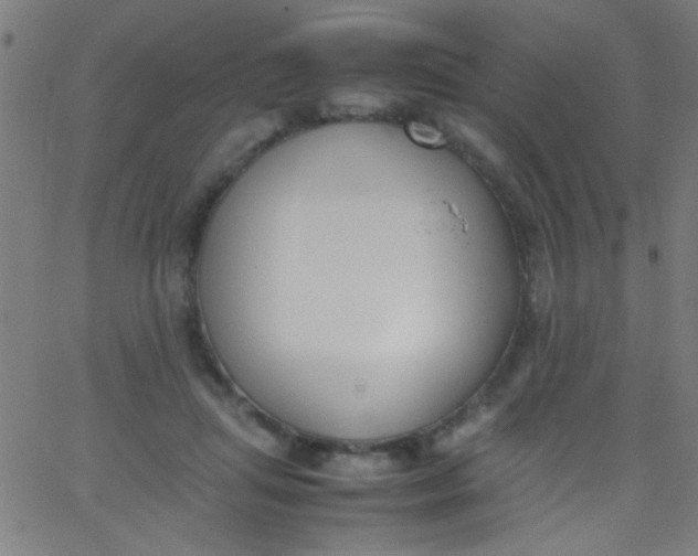 X0000067950455200604272103