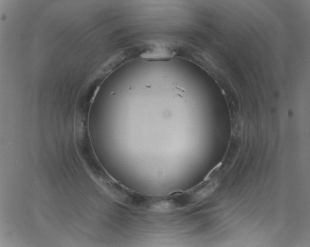 X0000067950456200604272103