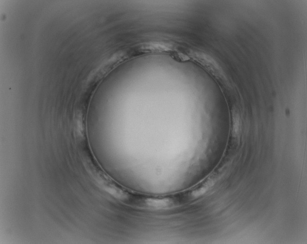 X0000067950457200604272104