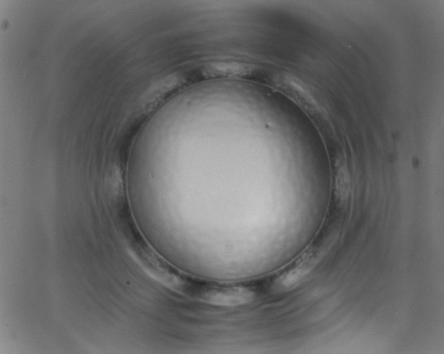 X0000067950459200604272104