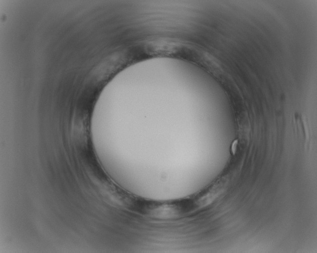 X0000067950460200604272104