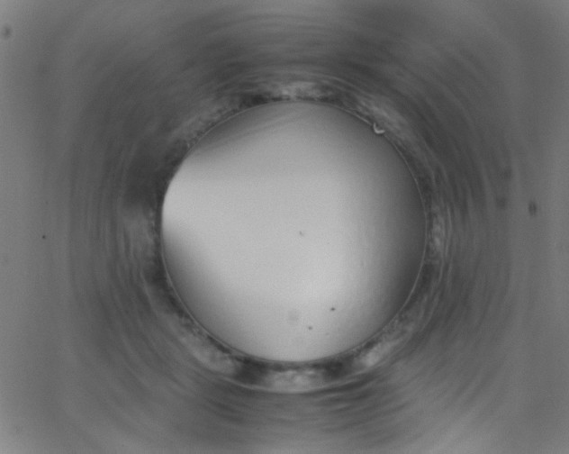 X0000067950461200604272104