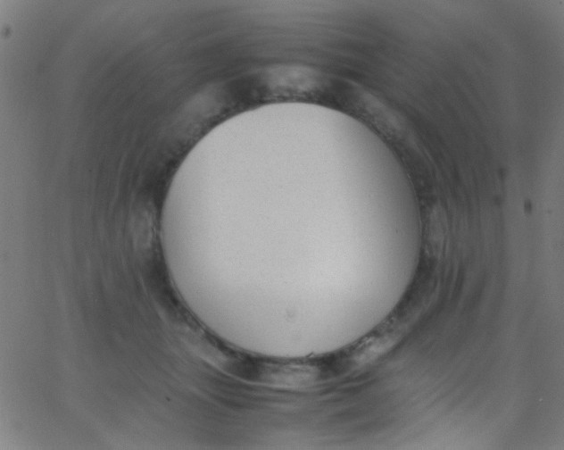 X0000067950463200604272104