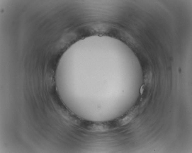 X0000067950464200604272104