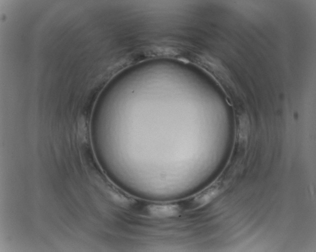 X0000067950465200604272104