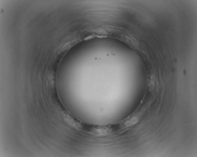 X0000067950466200604272104