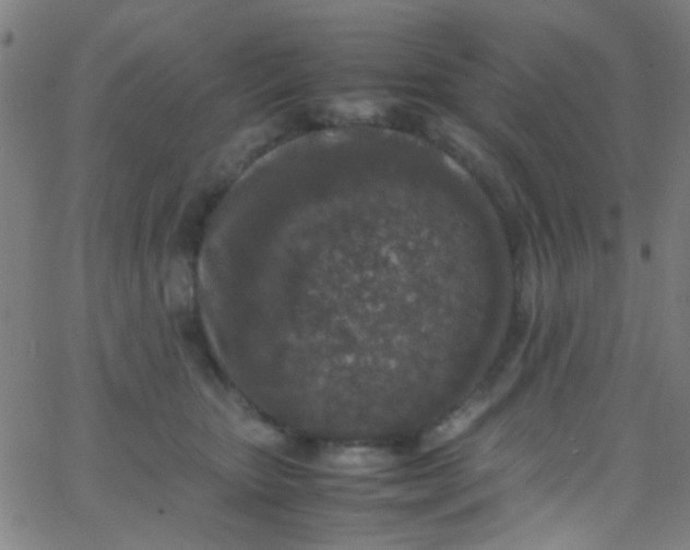 X0000067950467200604272104