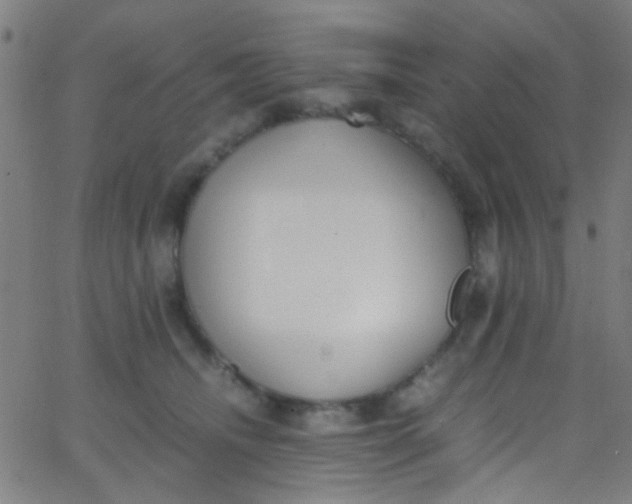 X0000067950468200604272104